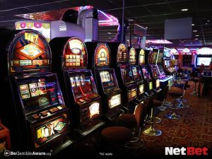 lobowin - Registro Bet Oficial